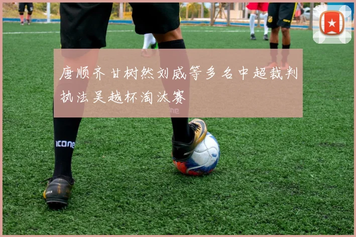 唐顺齐甘树然刘威等多名中超裁判执法吴越杯淘汰赛
