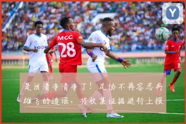 是该清净清净了！足协不再容忍冉雄飞的造谣，将收集证据进行上报