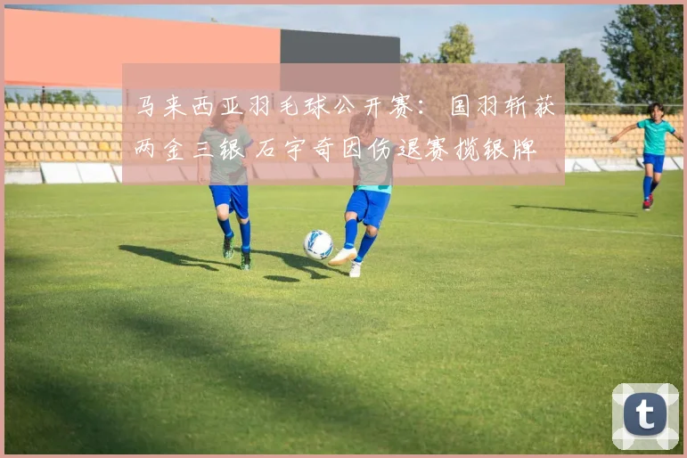马来西亚羽毛球公开赛：国羽斩获两金三银 石宇奇因伤退赛揽银牌