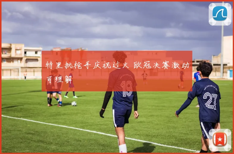 特里批枪手庆祝过火 欧冠决赛激动可理解