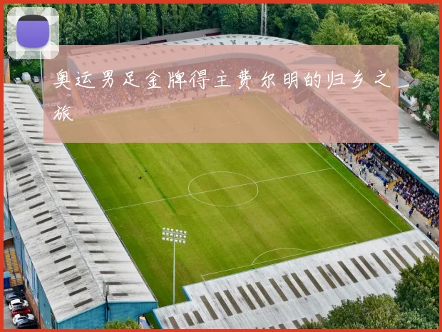 奥运男足金牌得主费尔明的归乡之旅