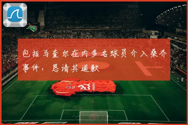 包括马奎尔在内多名球员介入桑乔事件，恳请其道歉